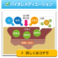 バイオレメディエーション